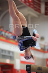 Hinsdale Central 2015 Sectionals